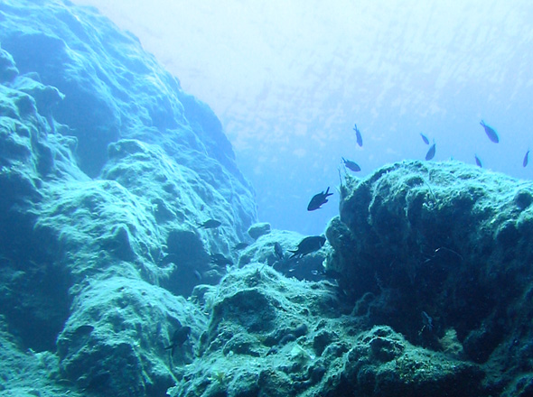 Unterwasserlandschaften: Schluchten und Kamine