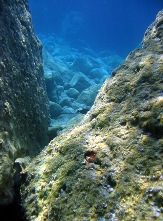 Unterwasserlandschaften: Schluchten und Kamine.